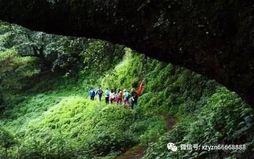 气球大混战